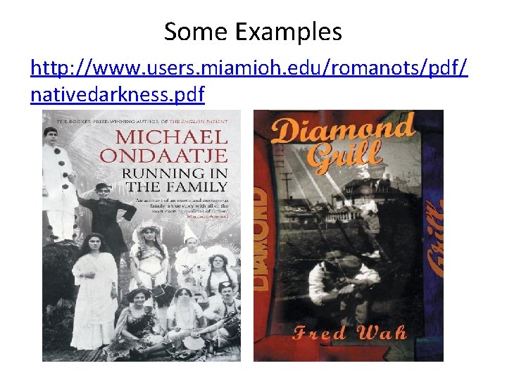 Some Examples http: //www. users. miamioh. edu/romanots/pdf/ nativedarkness. pdf 