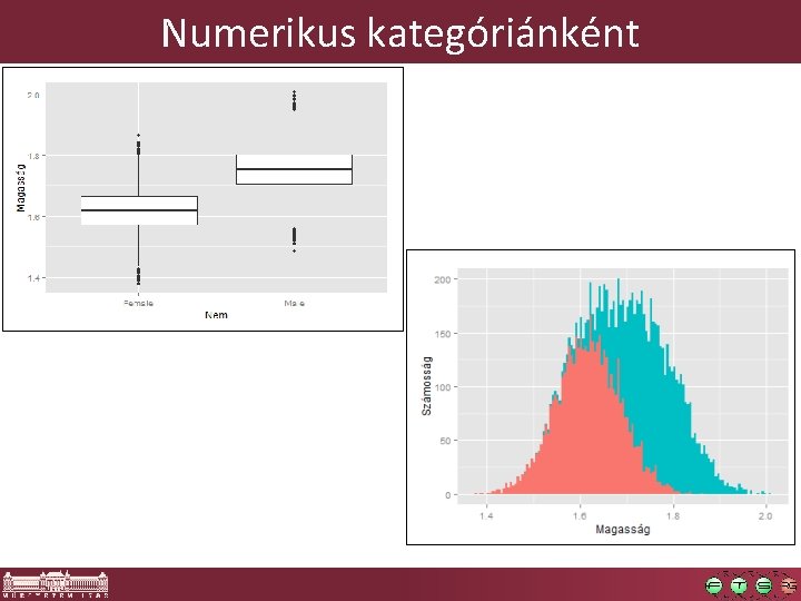 Numerikus kategóriánként 