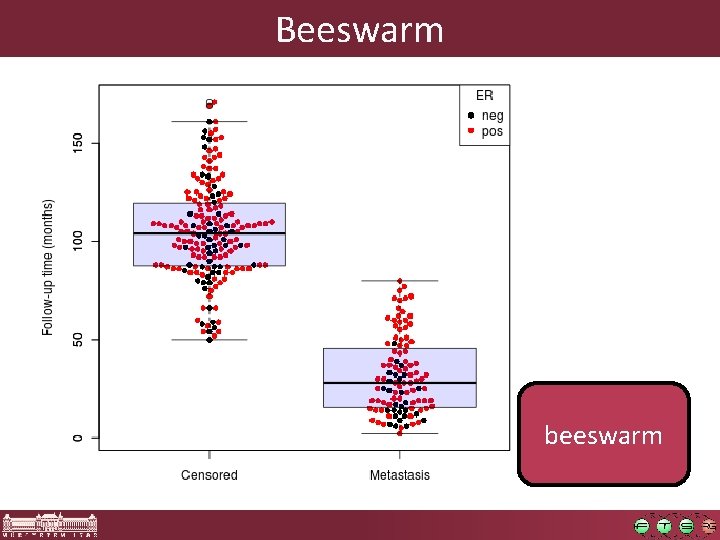 Beeswarm beeswarm 