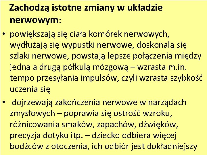 Zachodzą istotne zmiany w układzie nerwowym: • powiększają się ciała komórek nerwowych, wydłużają się