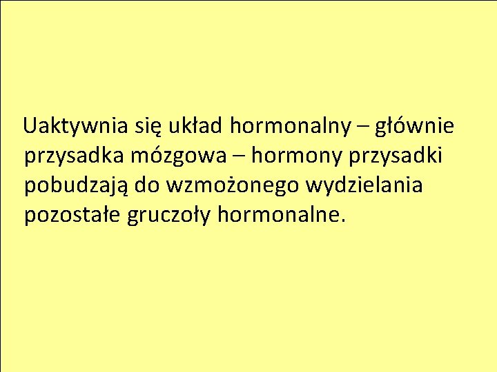 Uaktywnia się układ hormonalny – głównie przysadka mózgowa – hormony przysadki pobudzają do wzmożonego