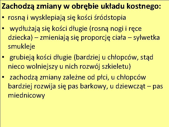 Zachodzą zmiany w obrębie układu kostnego: • rosną i wysklepiają się kości śródstopia •