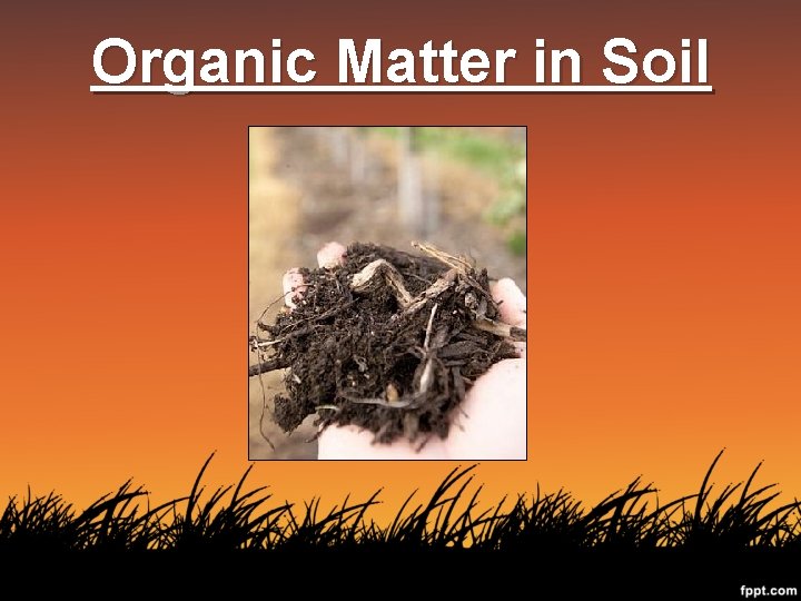 Organic Matter in Soil 