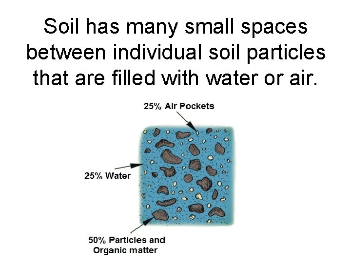 Soil has many small spaces between individual soil particles that are filled with water