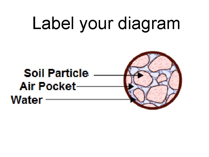 Label your diagram 