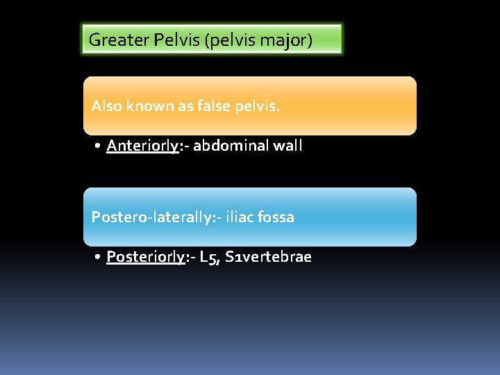 Greater Pelvis (pelvis major) Also known as false pelvis. • Anteriorly: - abdominal wall