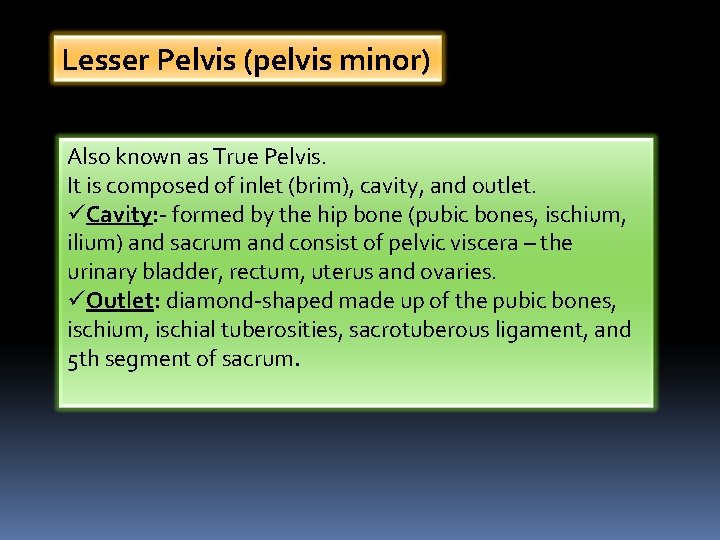 Lesser Pelvis (pelvis minor) Also known as True Pelvis. It is composed of inlet