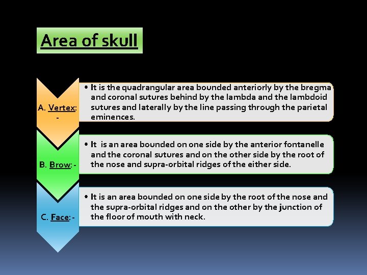 Area of skull • It is the quadrangular area bounded anteriorly by the bregma