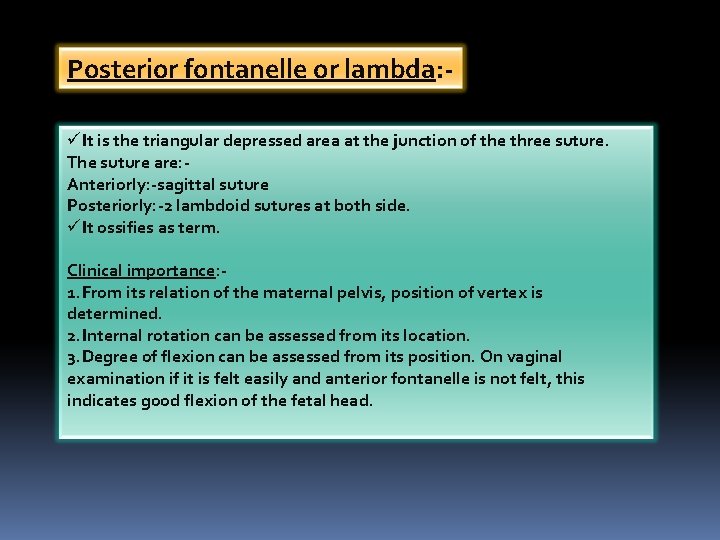 Posterior fontanelle or lambda: üIt is the triangular depressed area at the junction of