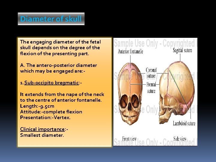 Diameter of skull The engaging diameter of the fetal skull depends on the degree