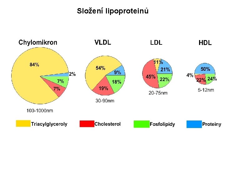 Složení lipoproteinů 