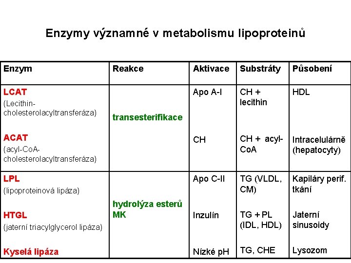 Enzymy významné v metabolismu lipoproteinů Enzym Reakce LCAT (Lecithincholesterolacyltransferáza) Aktivace Substráty Působení Apo A-I