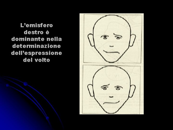 L’emisfero destro è dominante nella determinazione dell’espressione del volto 