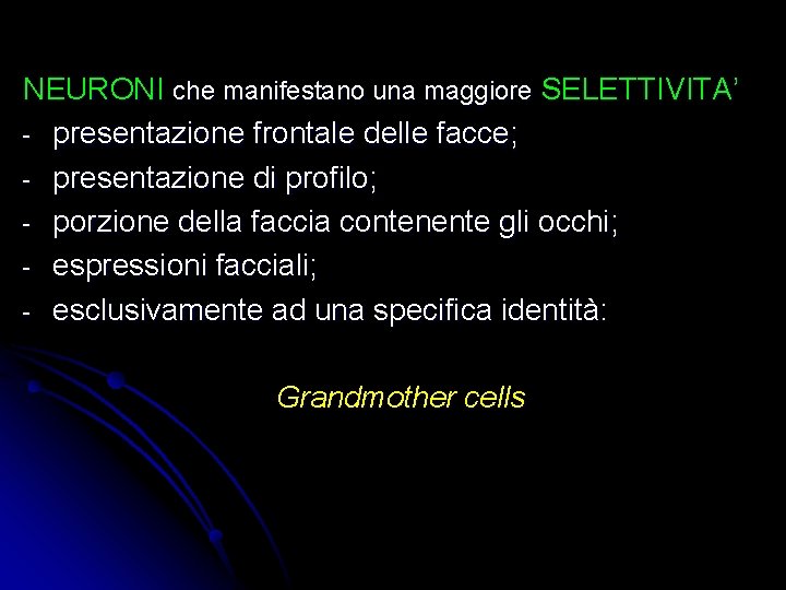 NEURONI che manifestano una maggiore SELETTIVITA’ - presentazione frontale delle facce; - presentazione di