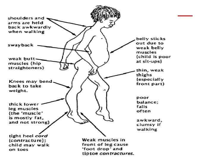 Medical Genetics 