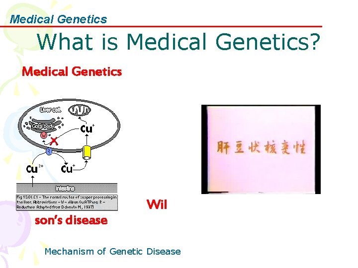 Medical Genetics What is Medical Genetics? Medical Genetics son’s disease Wil Mechanism of Genetic