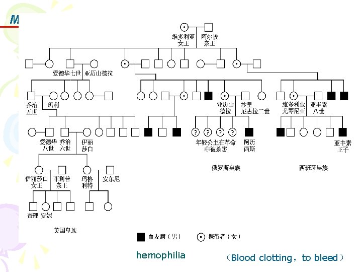 Medical Genetics x hemophilia （Blood clotting，to bleed） 