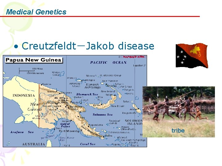 Medical Genetics • Creutzfeldt－Jakob disease tribe 