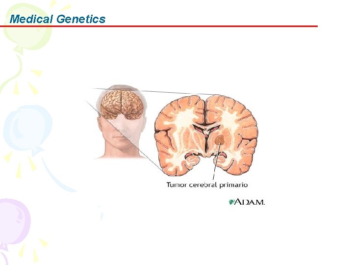 Medical Genetics 