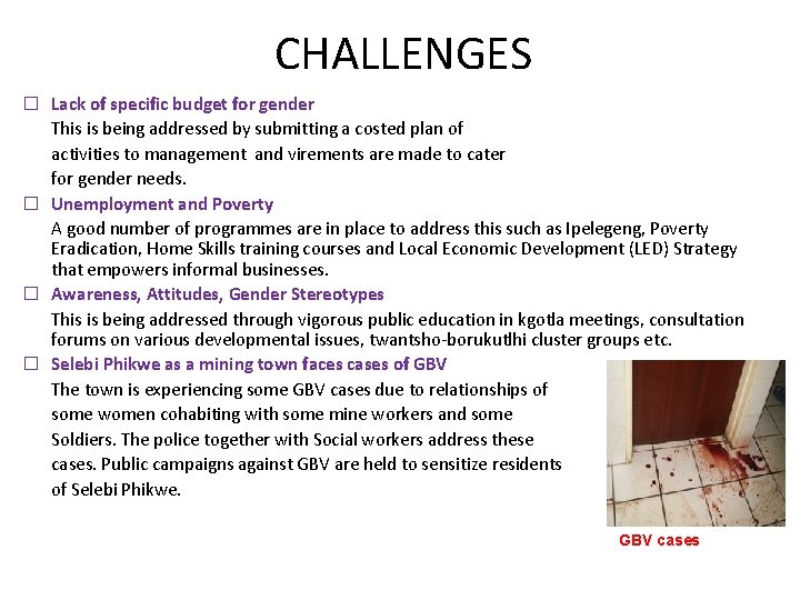 CHALLENGES � Lack of specific budget for gender This is being addressed by submitting
