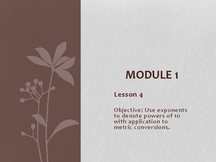 MODULE 1 Lesson 4 Objective: Use exponents to denote powers of 10 with application