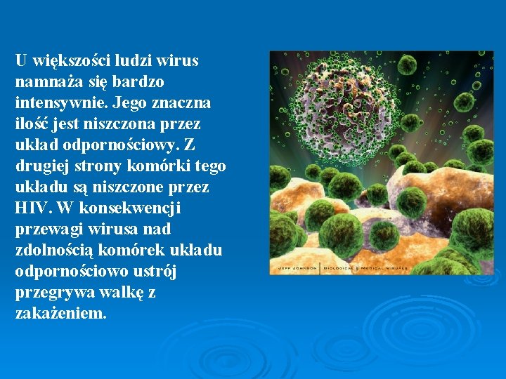 U większości ludzi wirus namnaża się bardzo intensywnie. Jego znaczna ilość jest niszczona przez