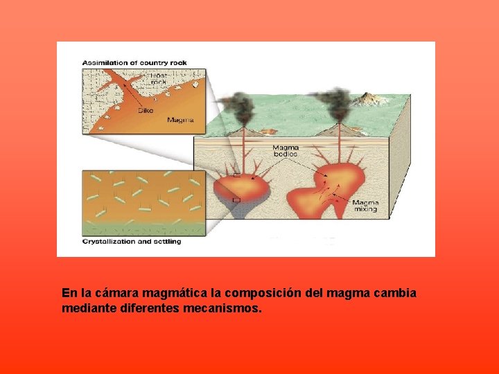 En la cámara magmática la composición del magma cambia mediante diferentes mecanismos. 