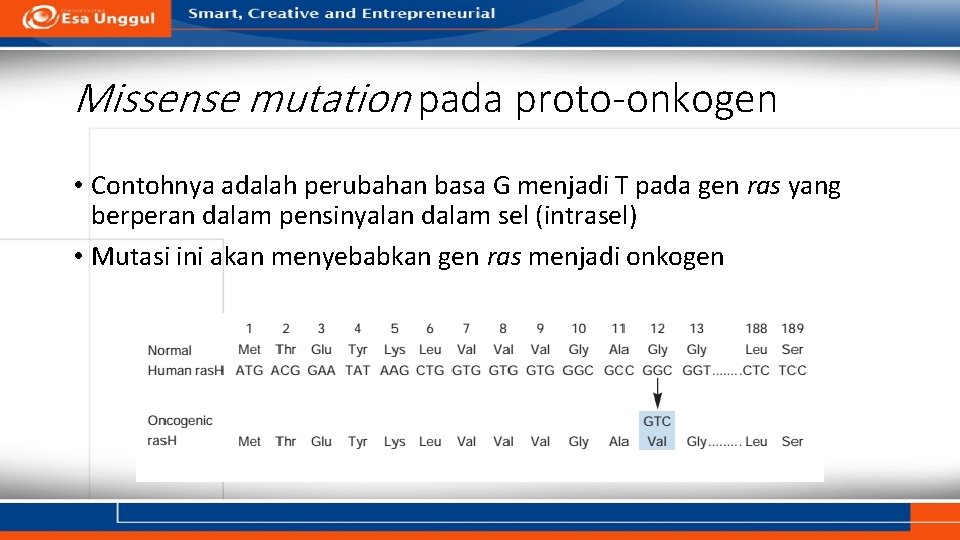Missense mutation pada proto-onkogen • Contohnya adalah perubahan basa G menjadi T pada gen