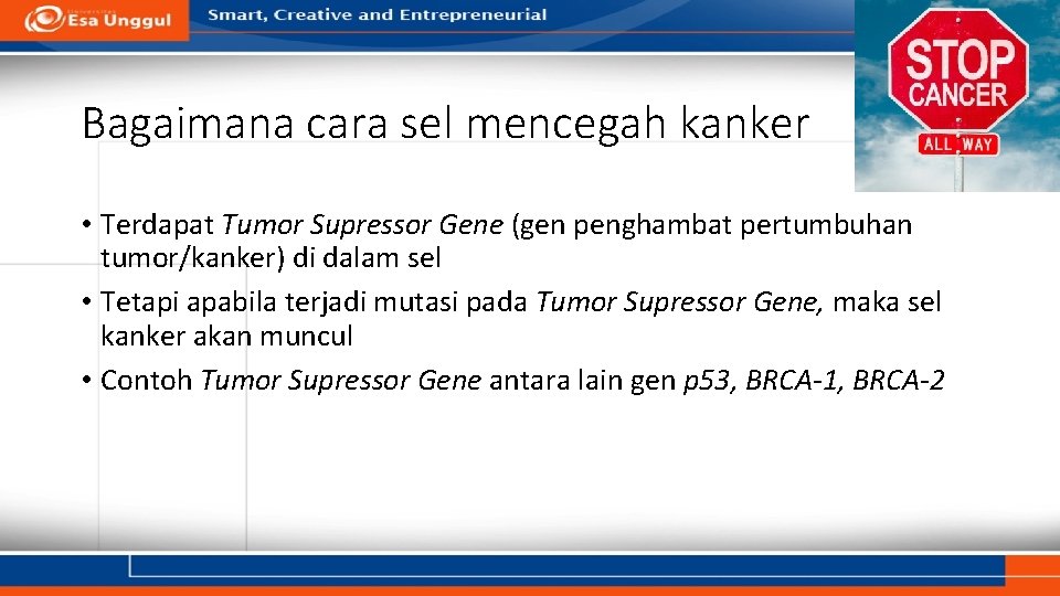 Bagaimana cara sel mencegah kanker • Terdapat Tumor Supressor Gene (gen penghambat pertumbuhan tumor/kanker)