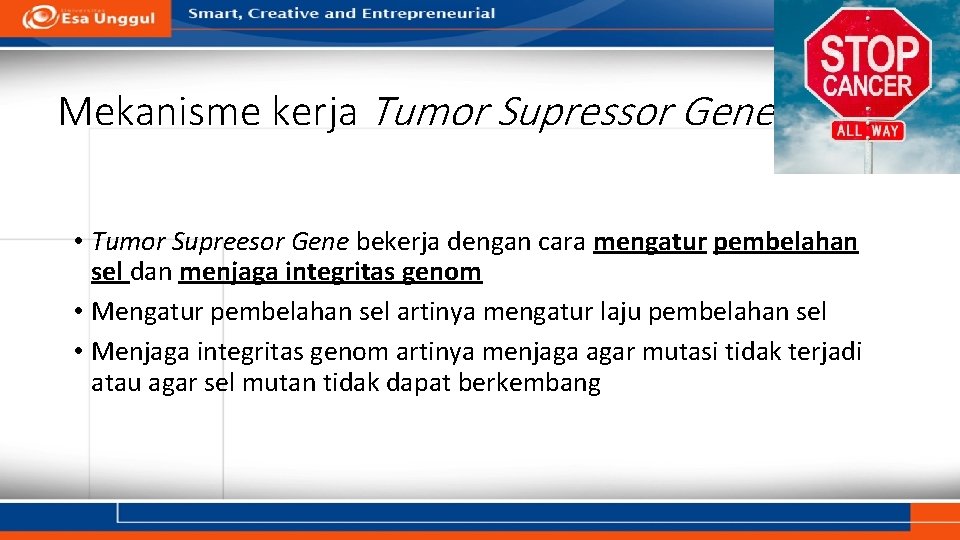 Mekanisme kerja Tumor Supressor Gene • Tumor Supreesor Gene bekerja dengan cara mengatur pembelahan