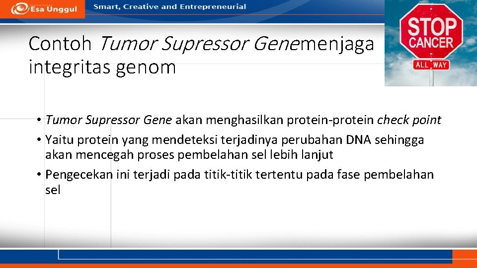 Contoh Tumor Supressor Gene menjaga integritas genom • Tumor Supressor Gene akan menghasilkan protein-protein