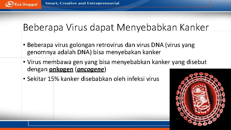 Beberapa Virus dapat Menyebabkan Kanker • Beberapa virus golongan retrovirus dan virus DNA (virus