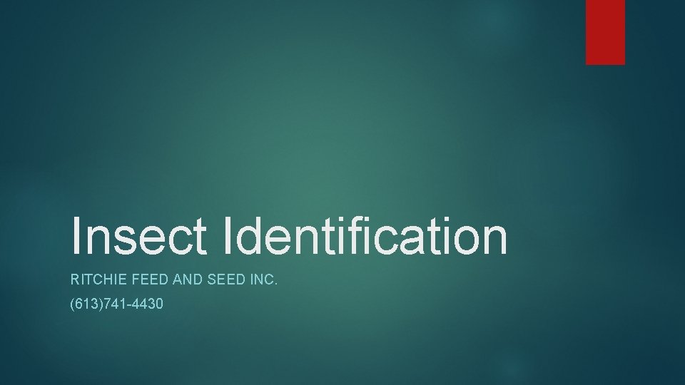Insect Identification RITCHIE FEED AND SEED INC. (613)741 -4430 