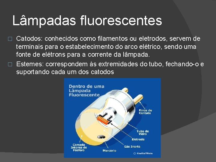 Lâmpadas fluorescentes Catodos: conhecidos como filamentos ou eletrodos, servem de terminais para o estabelecimento