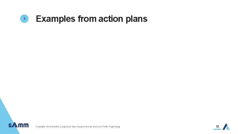 Examples from action plans Copyright: Gerd Martina Langeland, May Olaug Horverak and John Petter