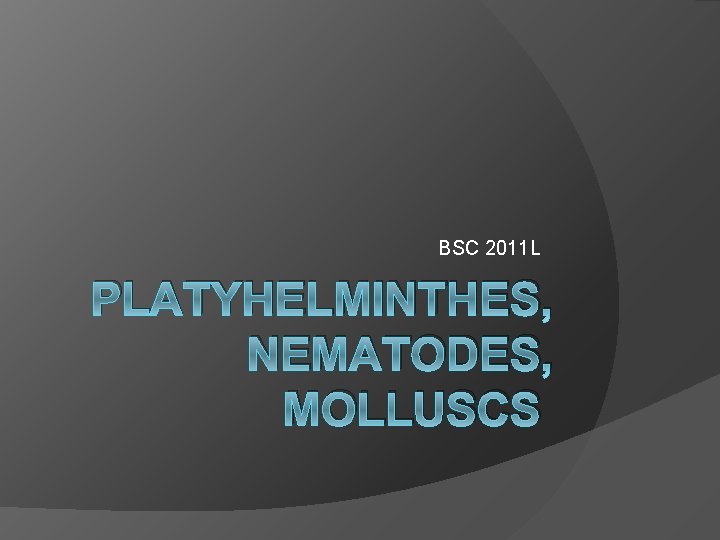 BSC 2011 L PLATYHELMINTHES, NEMATODES, MOLLUSCS 