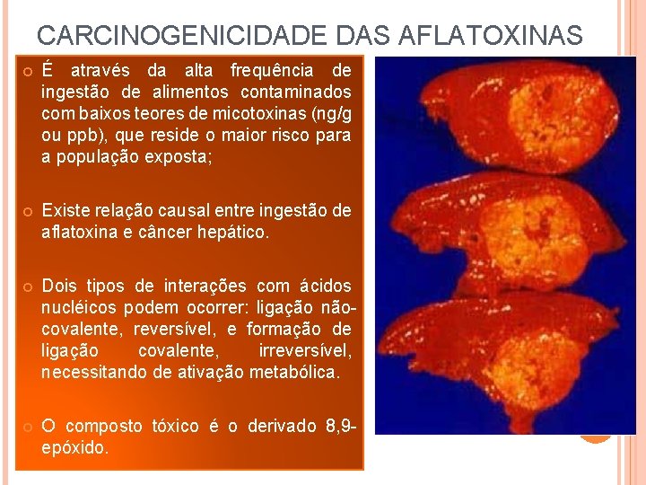 CARCINOGENICIDADE DAS AFLATOXINAS É através da alta frequência de ingestão de alimentos contaminados com