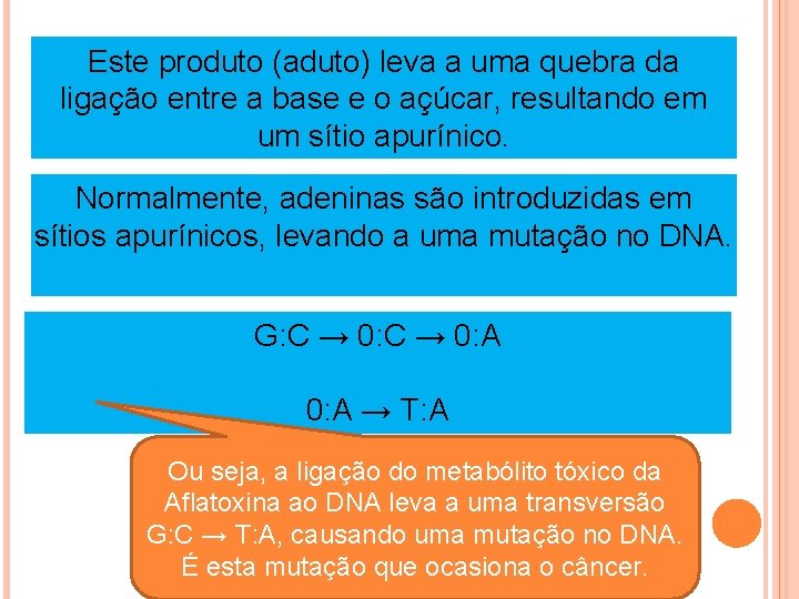 Este produto (aduto) leva a uma quebra da ligação entre a base e o