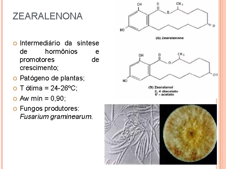 ZEARALENONA Intermediário da síntese de hormônios e promotores de crescimento; Patógeno de plantas; T