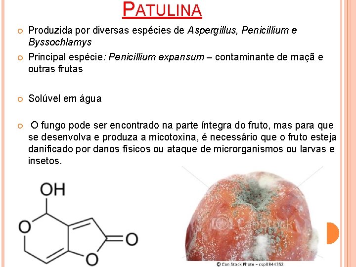 PATULINA Produzida por diversas espécies de Aspergillus, Penicillium e Byssochlamys Principal espécie: Penicillium expansum