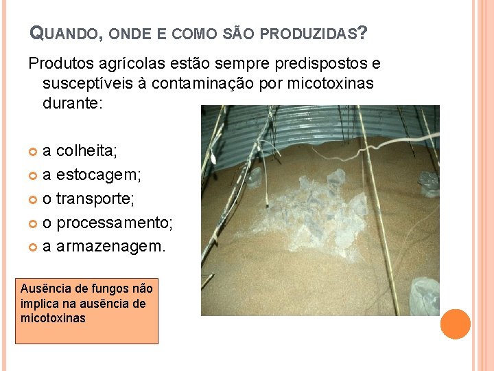QUANDO, ONDE E COMO SÃO PRODUZIDAS? Produtos agrícolas estão sempre predispostos e susceptíveis à