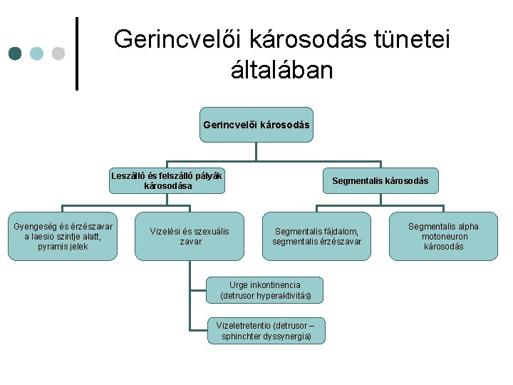 Gerincvelői károsodás tünetei általában Gerincvelői károsodás Leszálló és felszálló pályák károsodása Gyengeség és érzészavar Gerincvelői károsodás tünetei általában Gerincvelői károsodás Leszálló és felszálló pályák károsodása Gyengeség és érzészavar