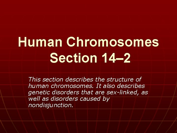 Human Chromosomes Section 14– 2 This section describes the structure of human chromosomes. It