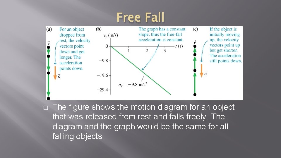 Free Fall � The figure shows the motion diagram for an object that was