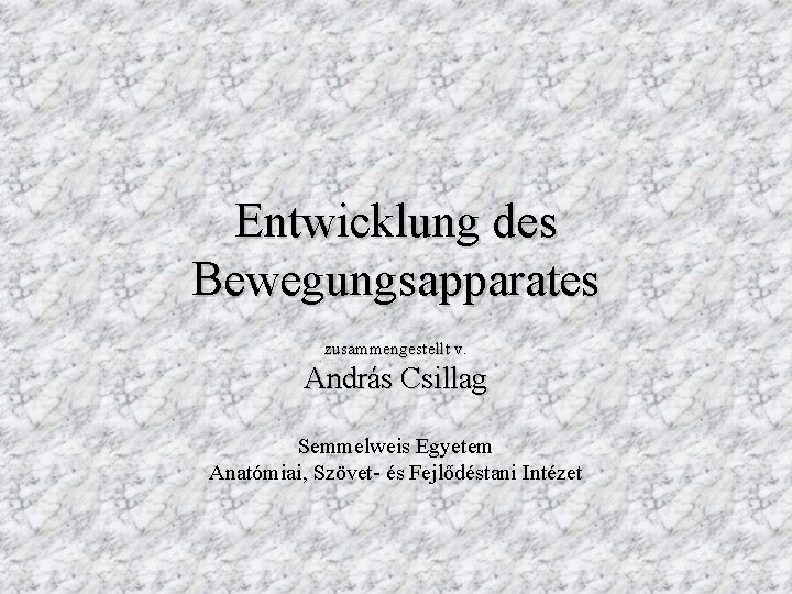 Entwicklung des Bewegungsapparates zusammengestellt v. András Csillag Semmelweis Egyetem Anatómiai, Szövet- és Fejlődéstani Intézet