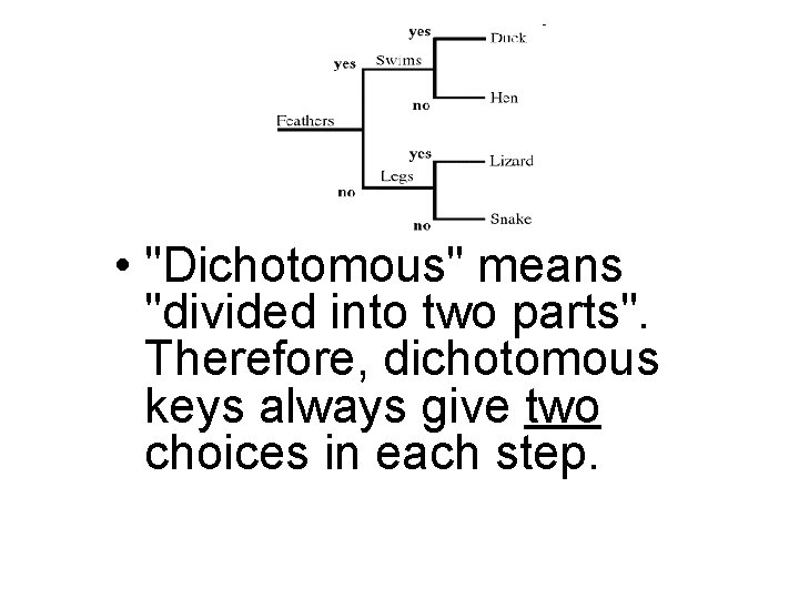  • "Dichotomous" means "divided into two parts". Therefore, dichotomous keys always give two