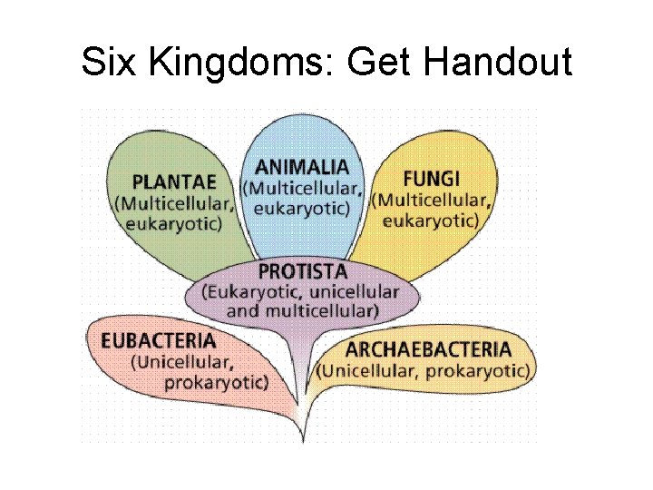 Six Kingdoms: Get Handout 