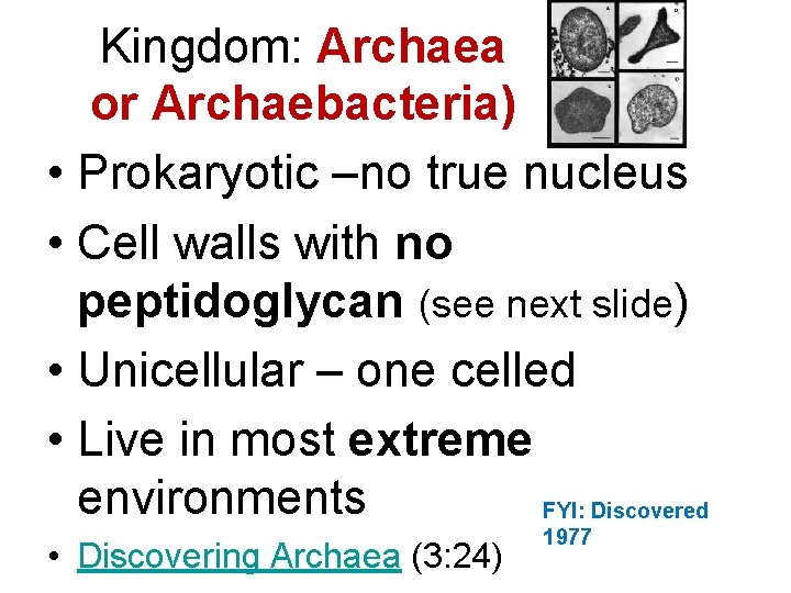 Kingdom: Archaea or Archaebacteria) • Prokaryotic –no true nucleus • Cell walls with no