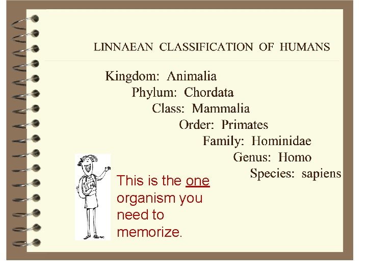 This is the one organism you need to memorize. 