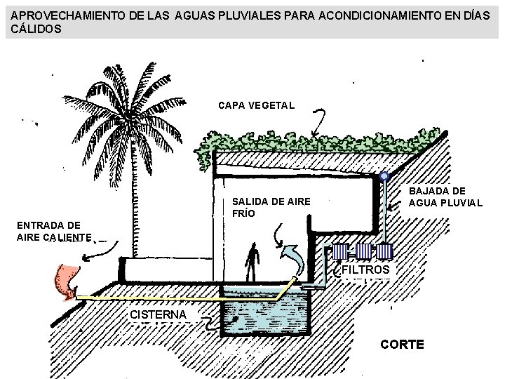 APROVECHAMIENTO DE LAS AGUAS PLUVIALES PARA ACONDICIONAMIENTO EN DÍAS CÁLIDOS CAPA VEGETAL BAJADA DE